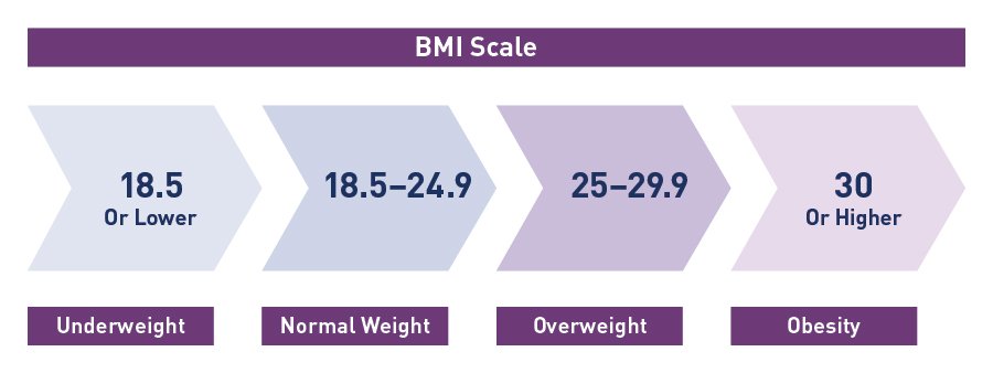 BMI Scale